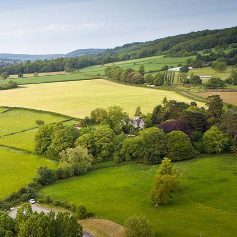 Photo of Green Fields with Trees